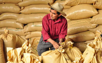 Guatemala Guaya'b – November Single Origin Club