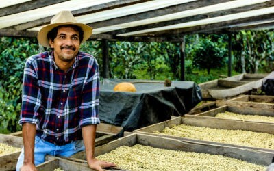 Byron's Maracaturra (Washed) – October Single Origin Club