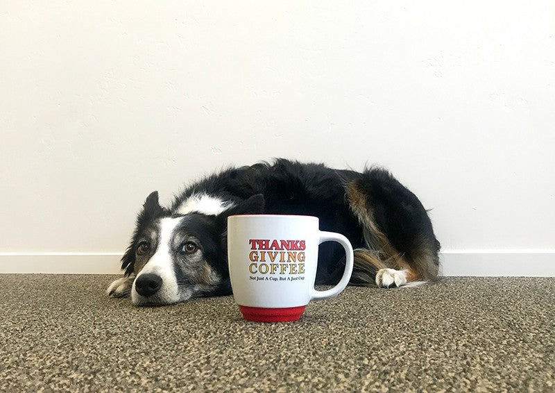 Take Your Dog to Work Day