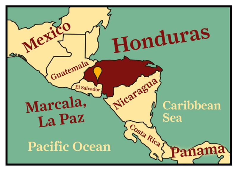 Honduras Coffee for the Roastmaster's Select Club