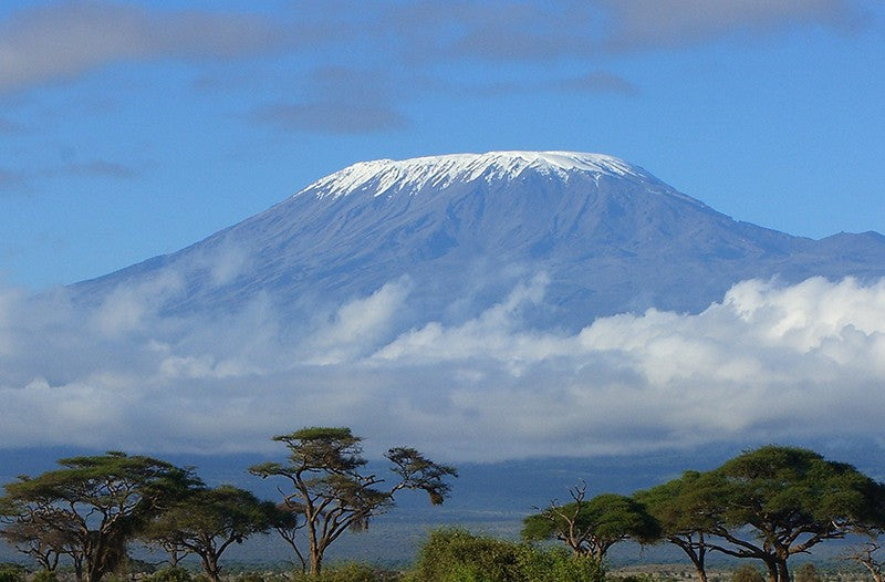 Tanzania Coffee - Now Available for a Limited Time