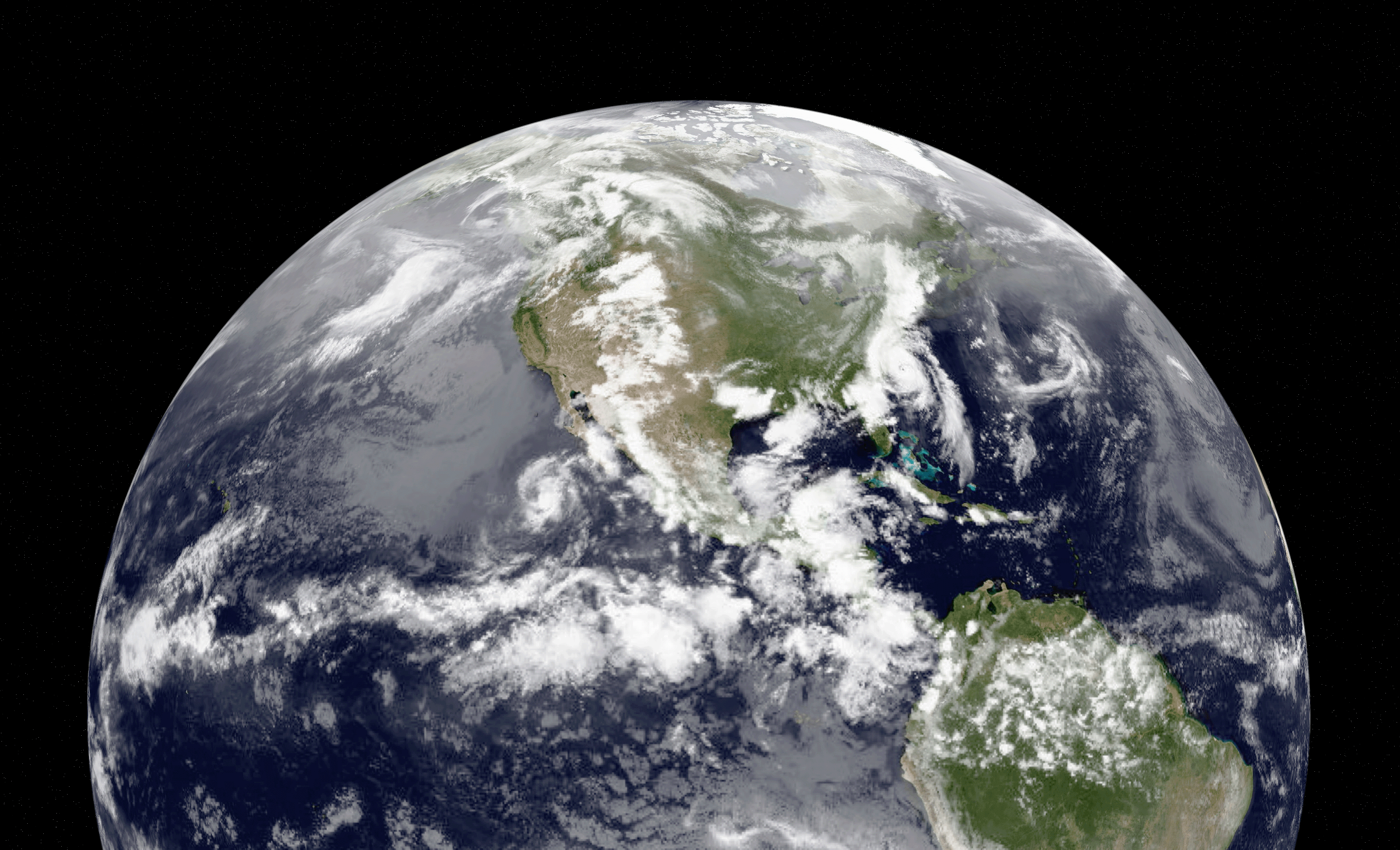 The Dr. Jean Mayer Award