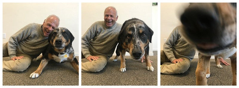 National Dog Day with the Mendocino Coast Humane Society