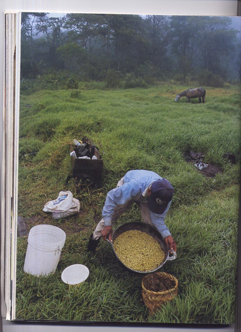 Smithsonian Magazine Feature – June 2004