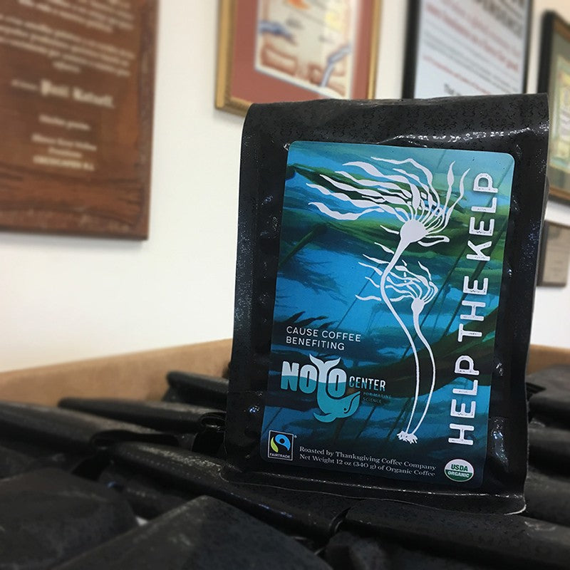 World Oceans Day: Noyo Center for Marine Science