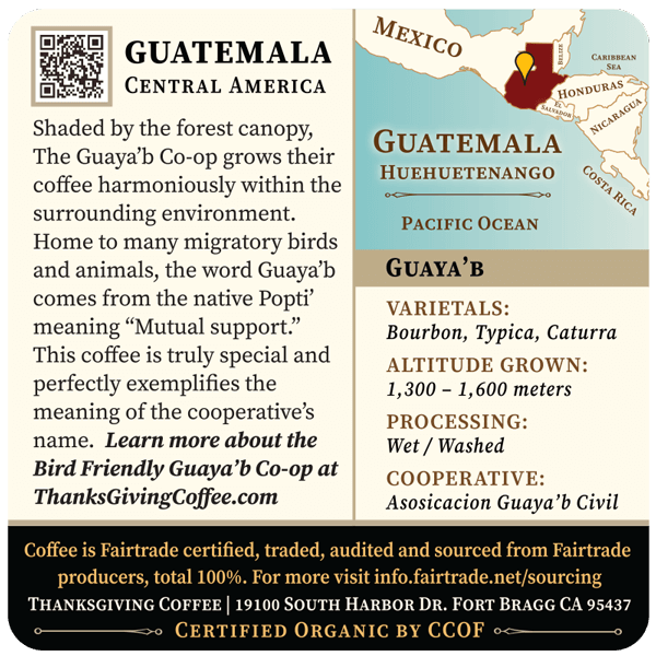 Guatemala Light Roast