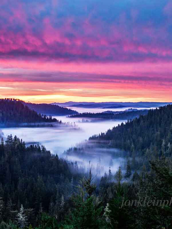 Overview of Mendocino Jackson Forest with fog snaking through the valley with a bright colorful sunset