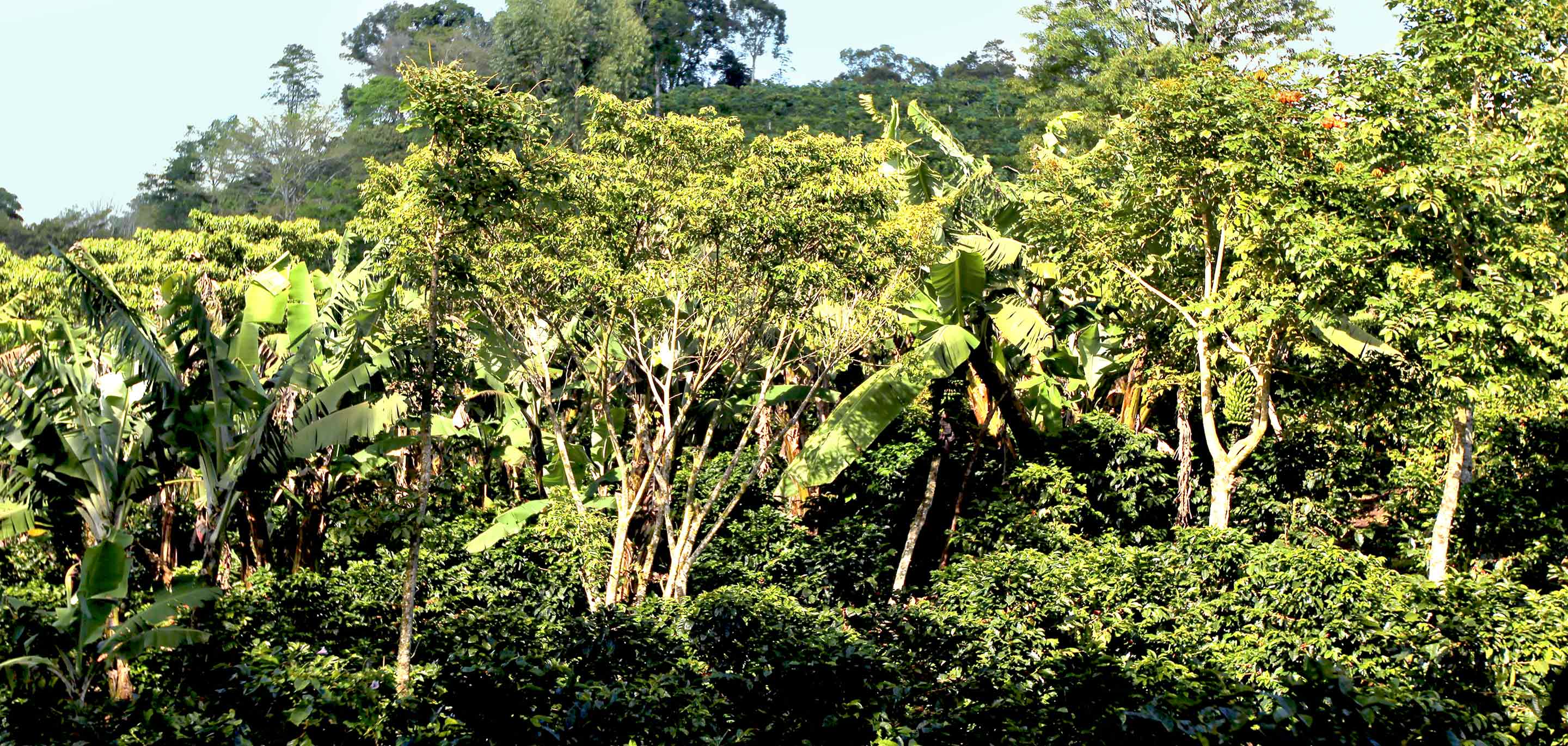 Preserving and restoring habitat