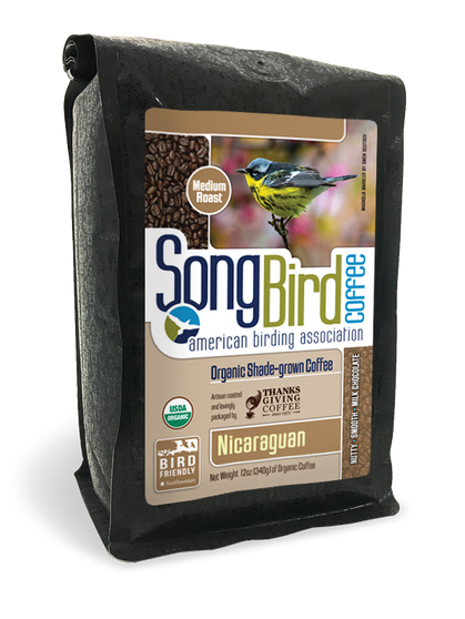 Songbird Nicaraguan