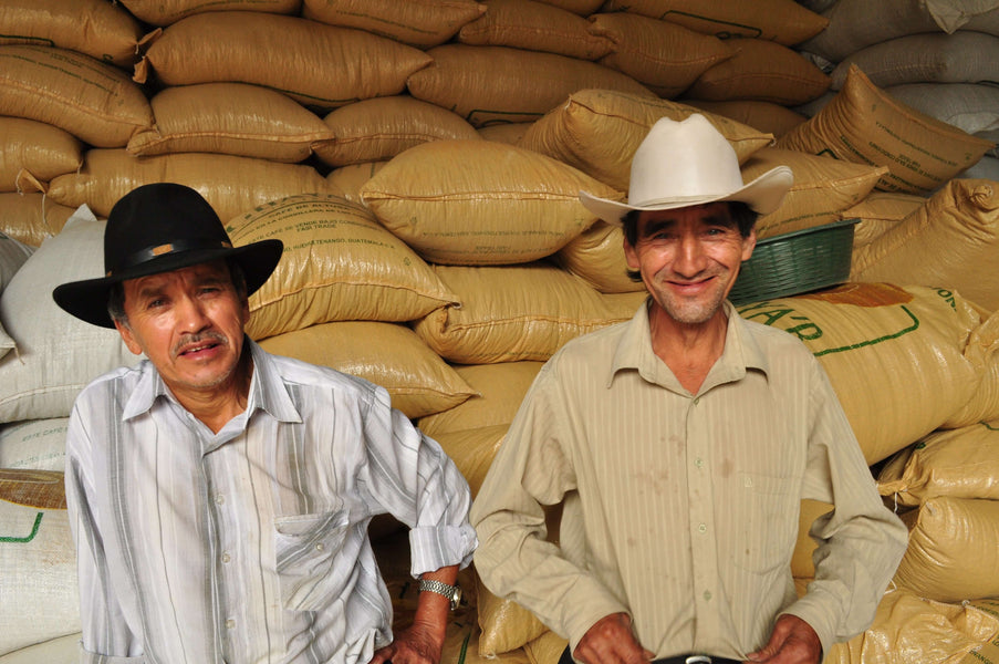 June Single Origin Club: Guatemala Guaya'b