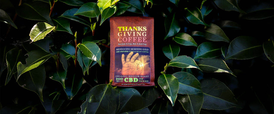 Our CBD is Discontinued