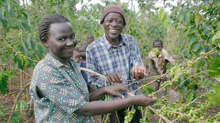 Delicious Peace Coffee : A New Story