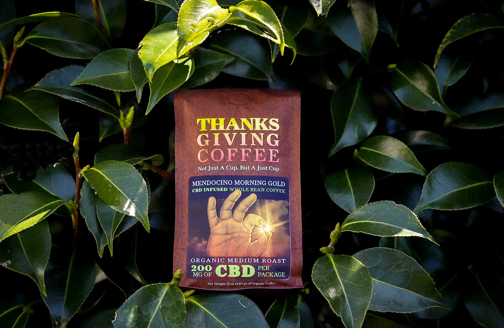 Our CBD is Discontinued