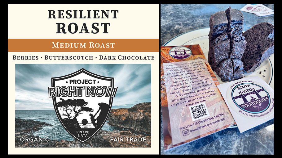 South Harbor Sourdough & Resilient Roast