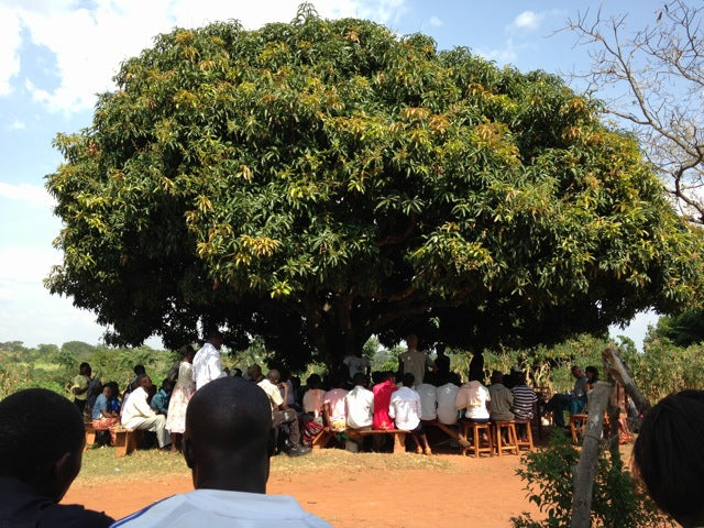 A Trip to Africa: Day 2 – Dancing, Mango Trees & The Dry Mill