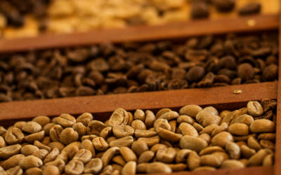 Coffee Tips : Selecting Coffee by Roast Color