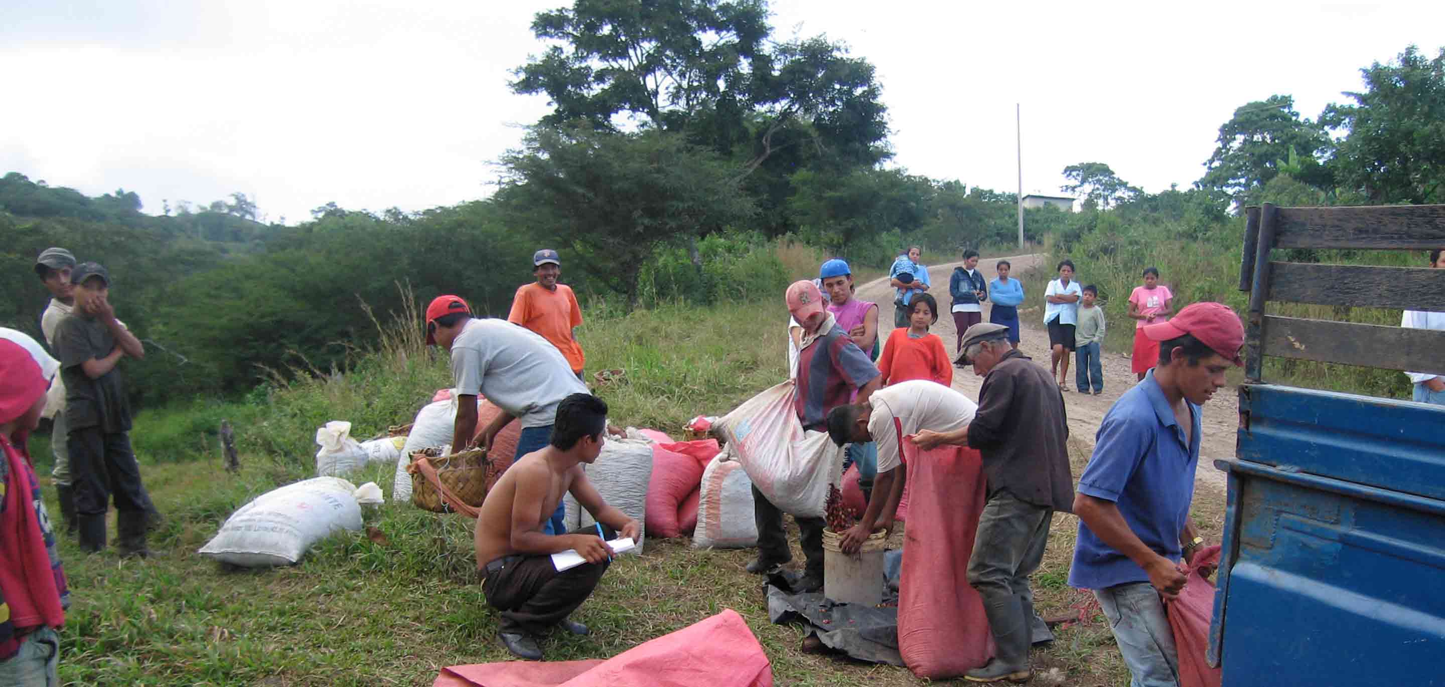 Ernesto Speaks: On the way it Is