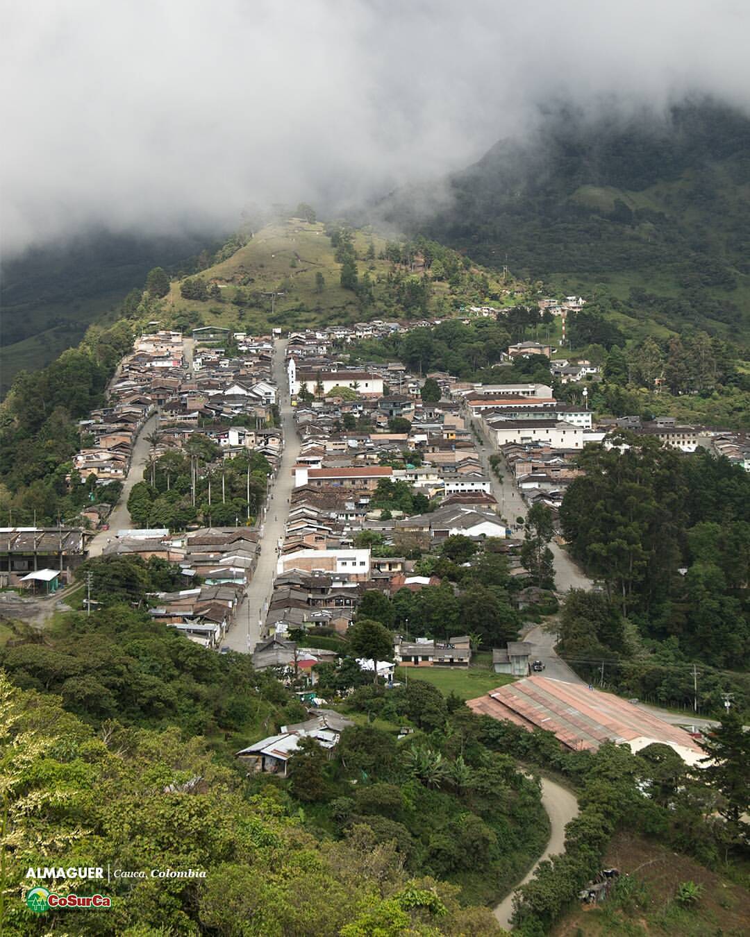 Roastmaster's Select Club: Colombia Cosurca