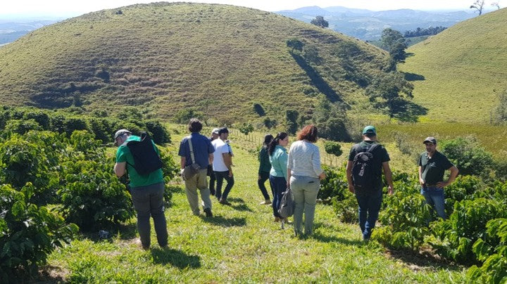 Roastmaster's Select Club: Poco Fundo Coopfam