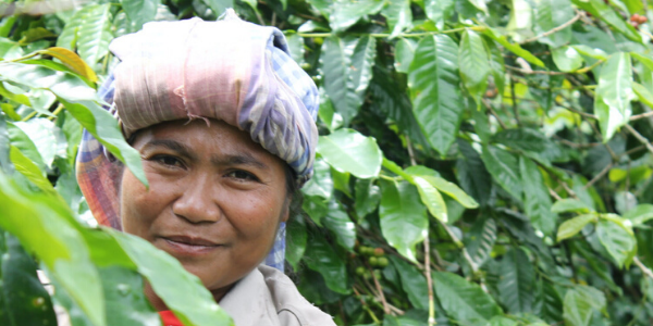 March Single Origin Coffee Club: Organic Sumatra