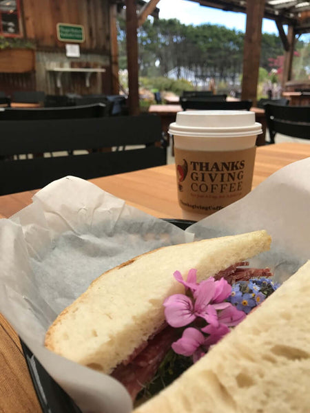 Rhody's Garden Cafe is Open!