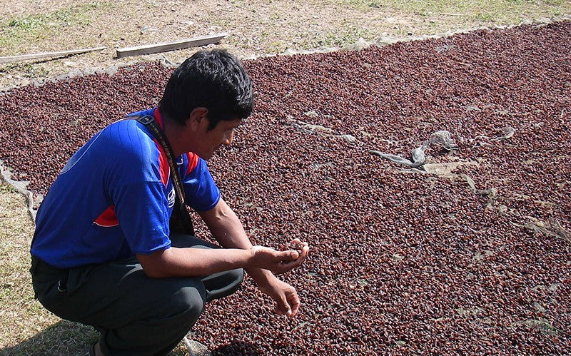 Bolivian Coffee