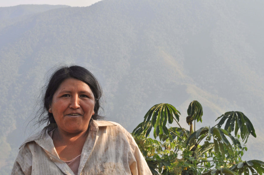 December Single Origin Club: Miel de Cajamarca