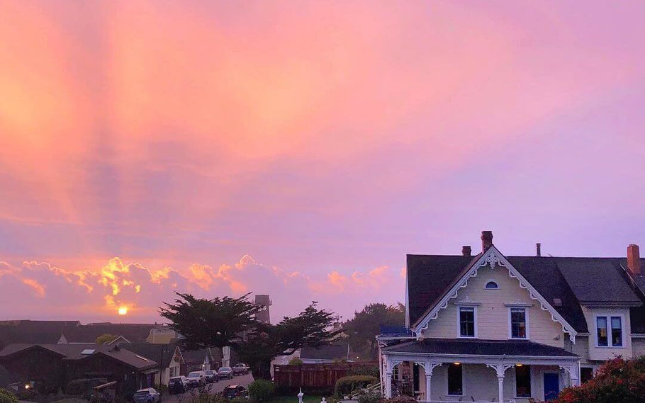 Celebrating 45 Years : MacCallum House & Thanksgiving Coffee