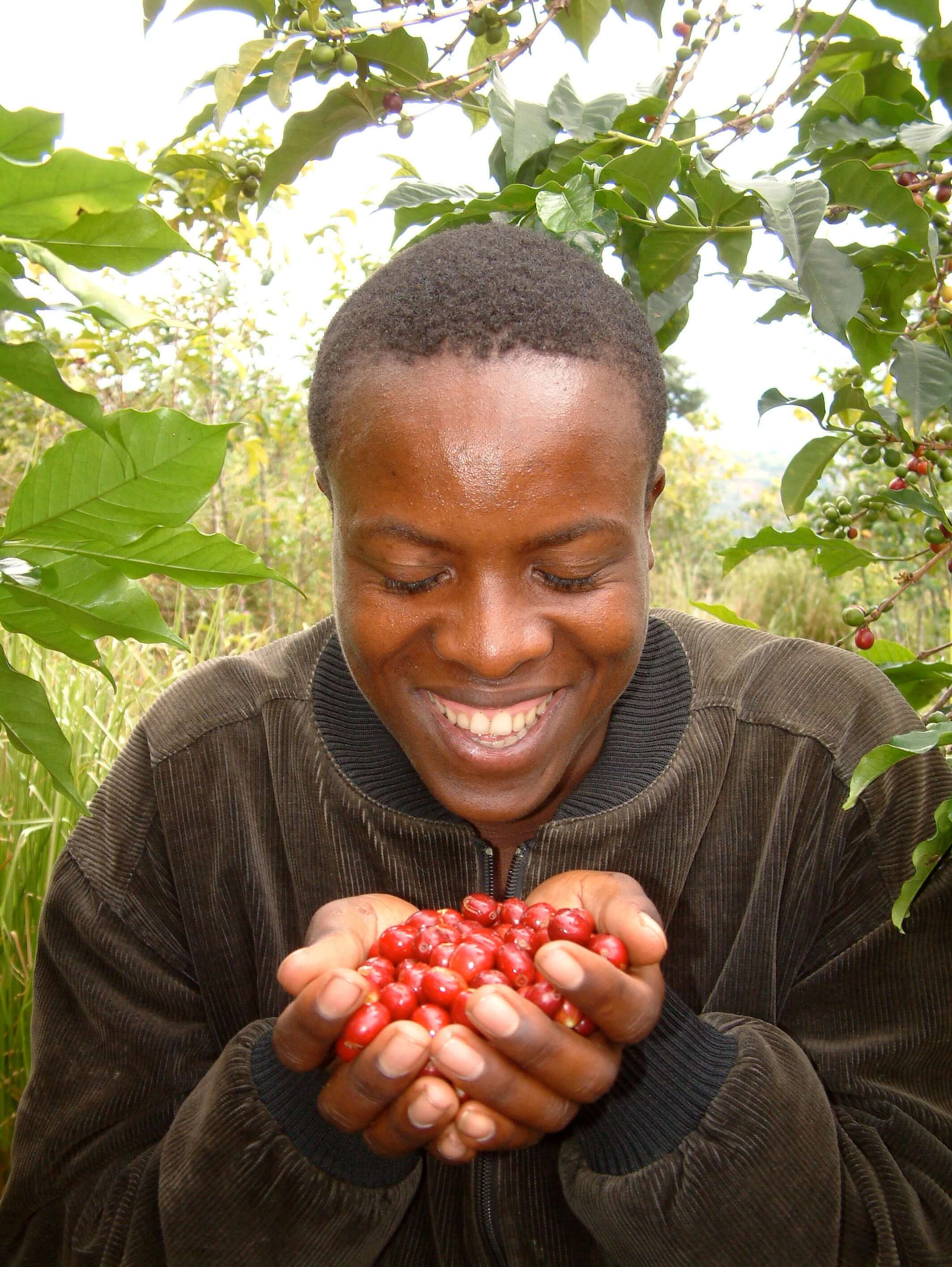 Roastmaster's Select Club: Rwanda Mbilima