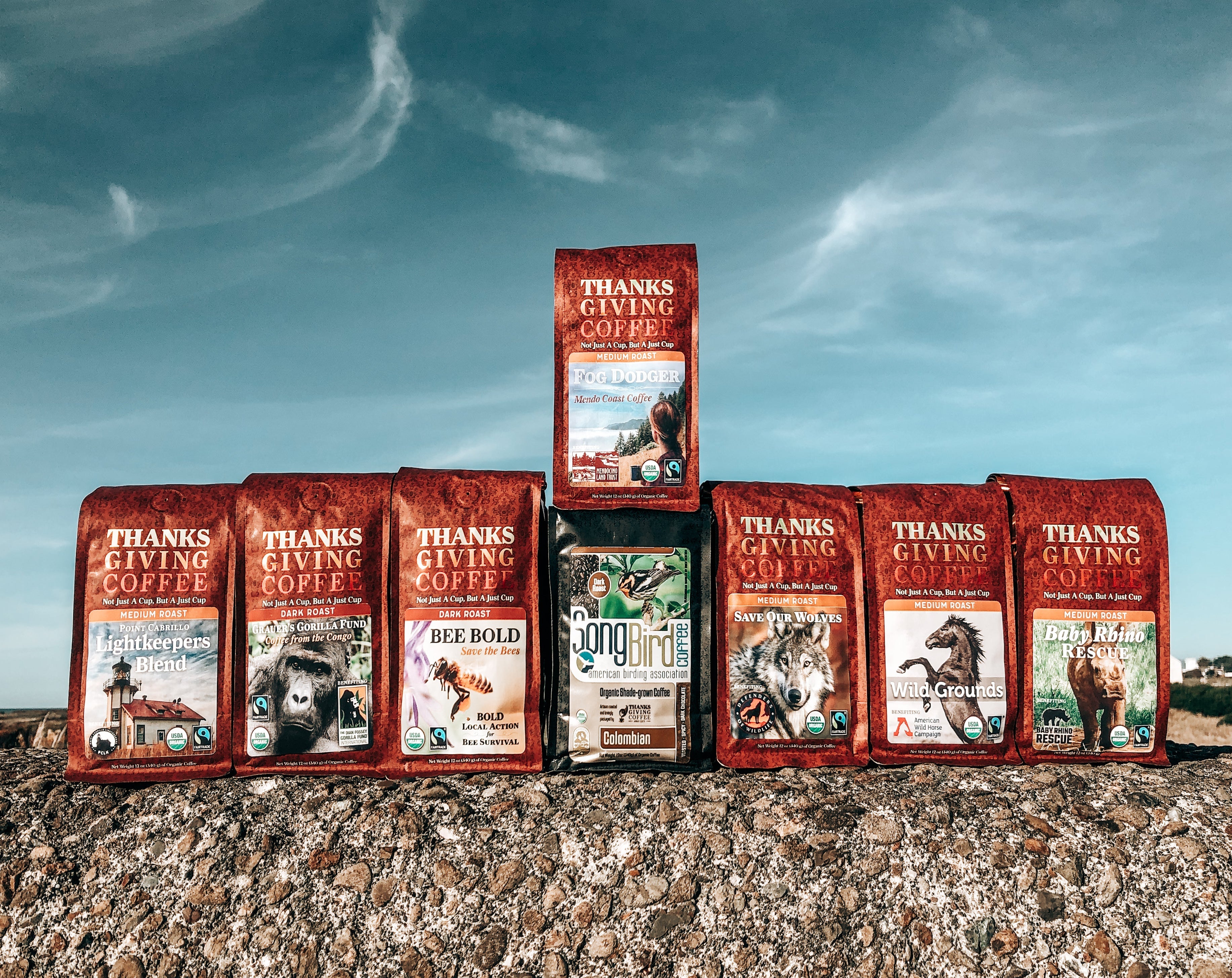 Cause Coffee Legacy Guide