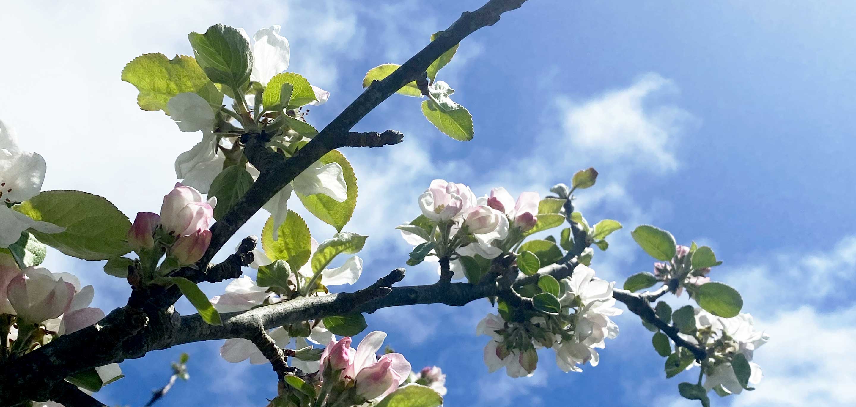 Brewing Possibility: Our 2024 Impact Report