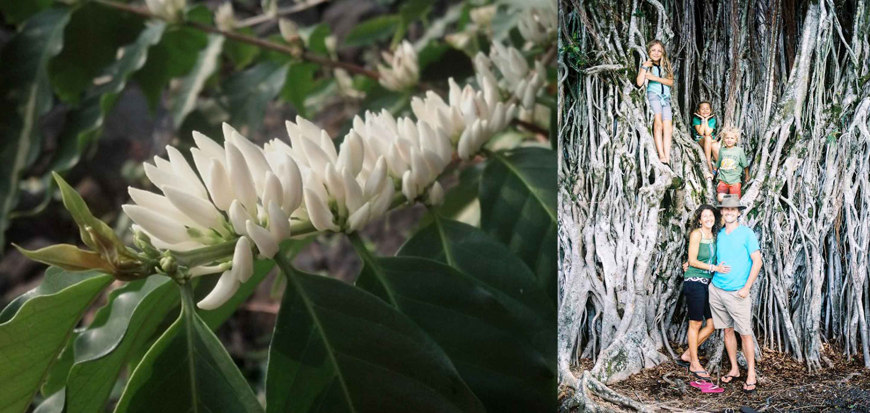 MAHINA MELE: Kona, Hawaii