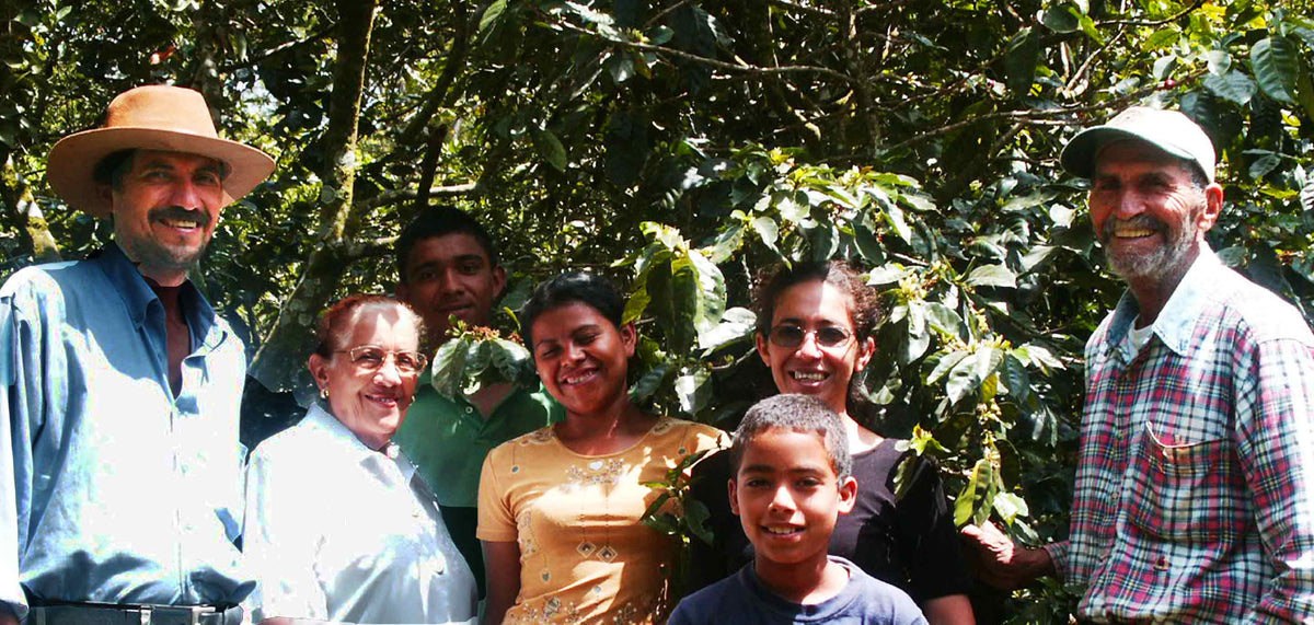 Roots Regeneration Pioneering Regenerative Agriculture