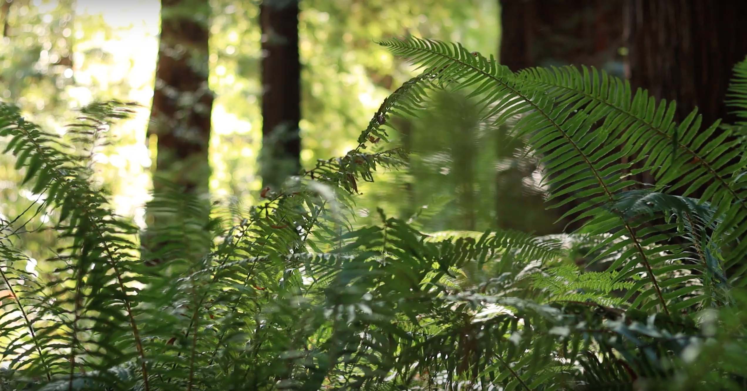 Expanding the Story of our Growing Alliance