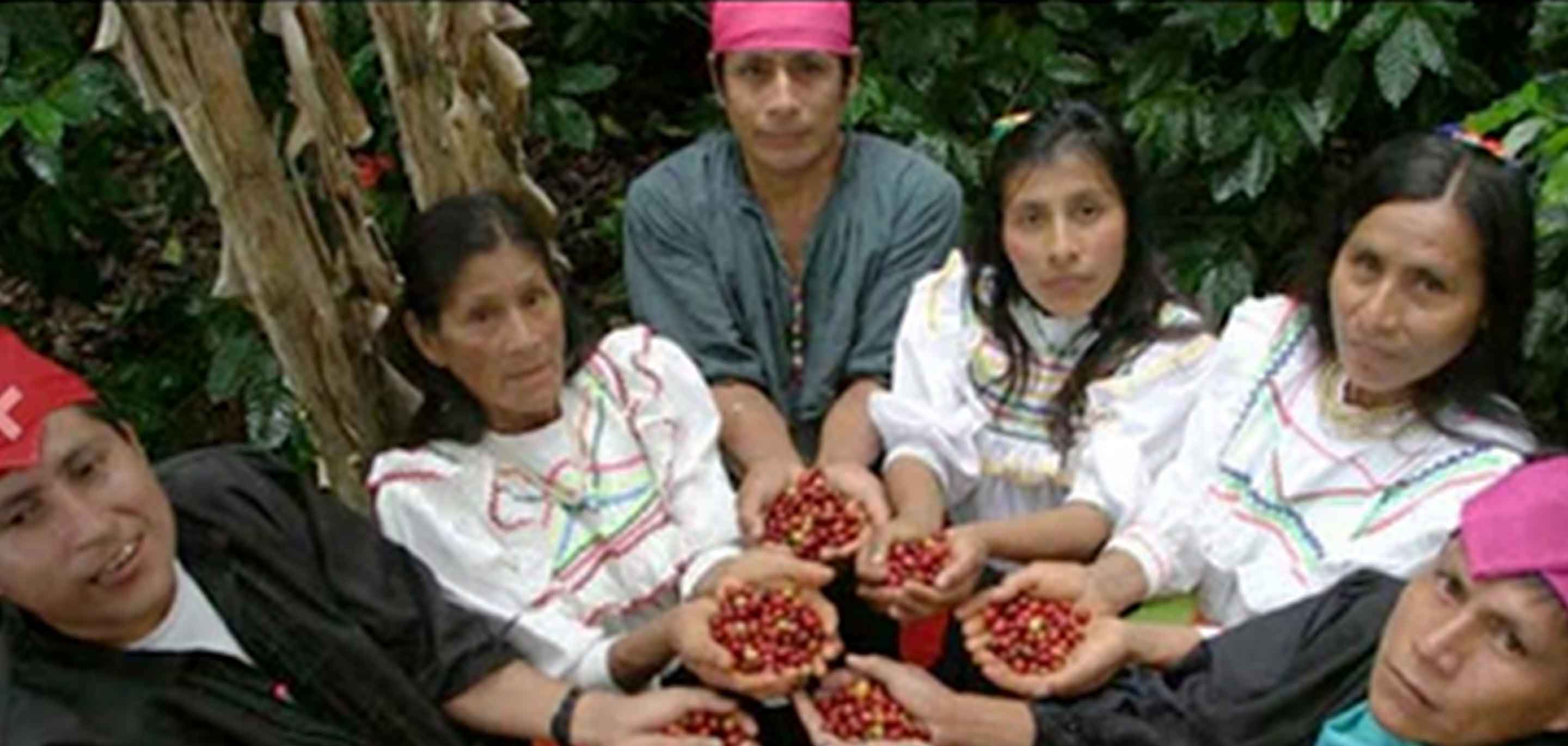 ORO VERDE : San Martín, Peru