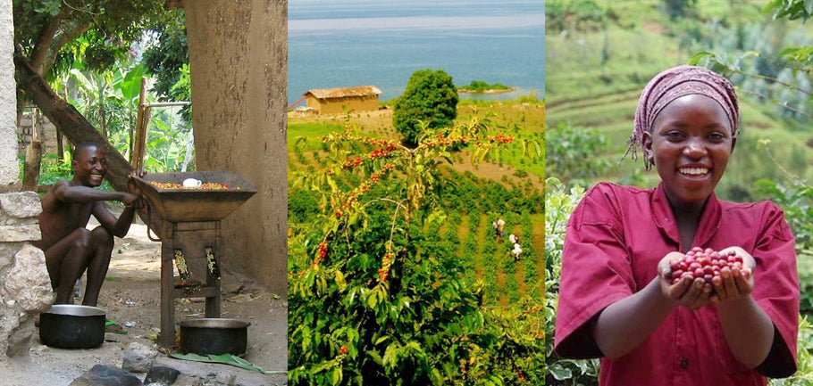 Rwanda Resilience: Coffee with a Climate Impact