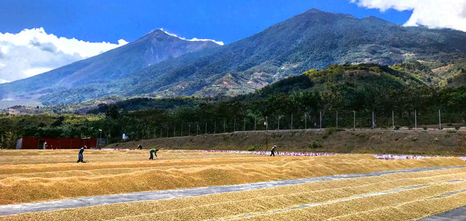 UCA Miraflor: Estelí, Nicaragua