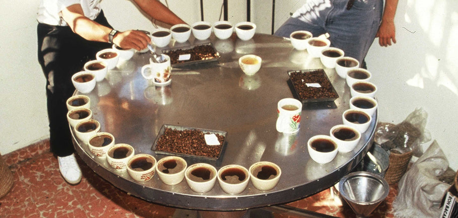 The Cupping Lab Revolution: How Thanksgiving Coffee Changed Coffee Forever