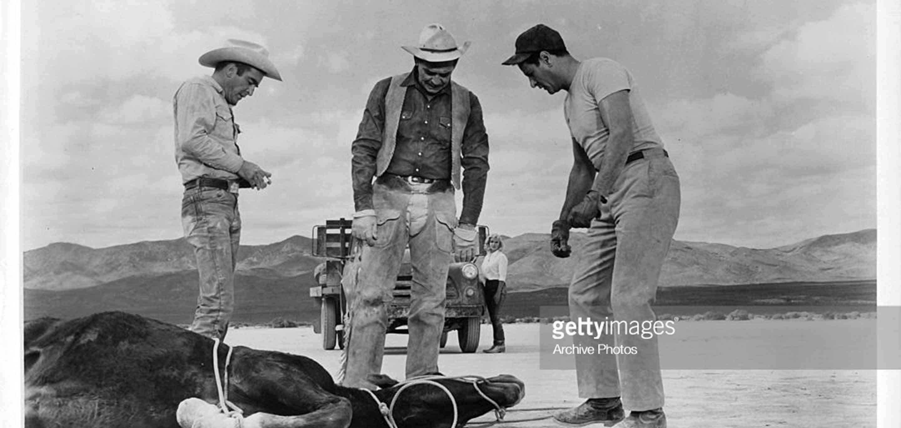 Marilyn Monroe, Clark Gable and the Mustangs