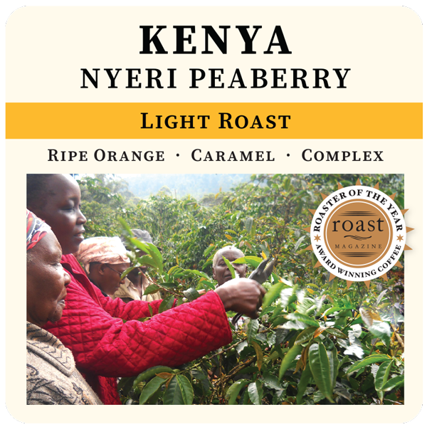   Kenya - Nyeri Peaberry  