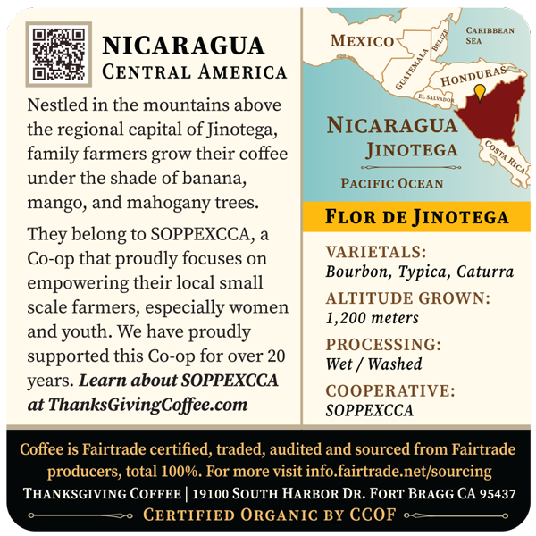 Nicaragua - Flor de Jinotega