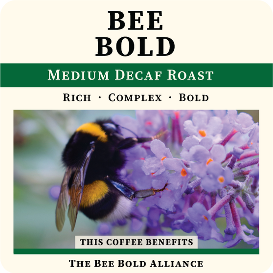 Bee Bold  - Decaf