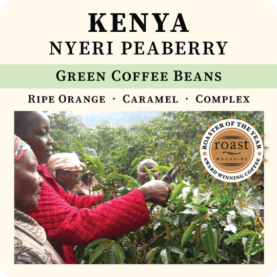Kenya Nyeri Peaberry Green Coffee Beans