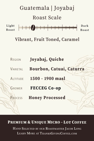 Quarterly Roastmaster's Select Guatemala Joyabaj coffee bag