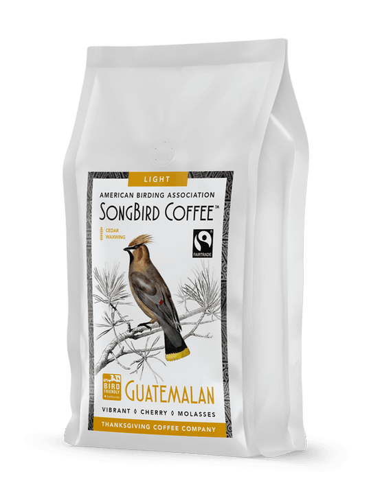 SongBird Guatemalan